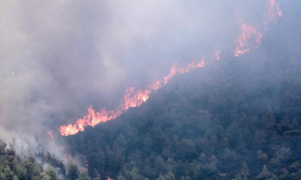 Φθιώτιδα: Καλύτερη η εικόνα της πυρκαγιάς στο Λογγίτσι